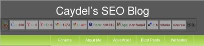 SeoQuake example of broken functions